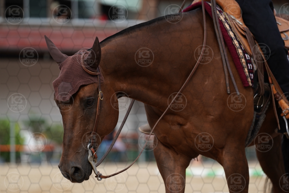 s_A9_01020.jpg